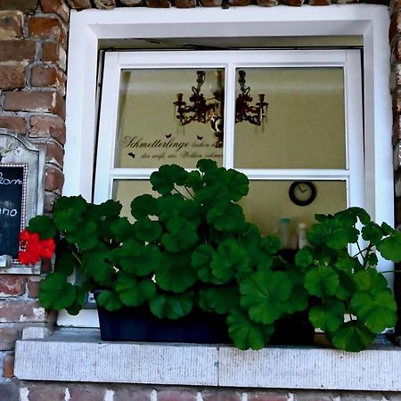 In De Achtste Hemel Apartamento Schimmert Exterior foto
